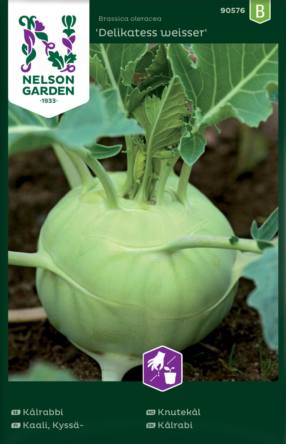 Knutekål 'Delikatess weisser'